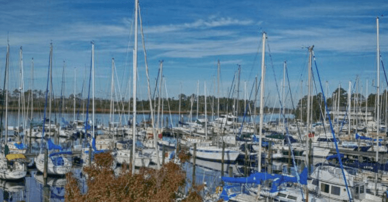 boat harbor containing several boats