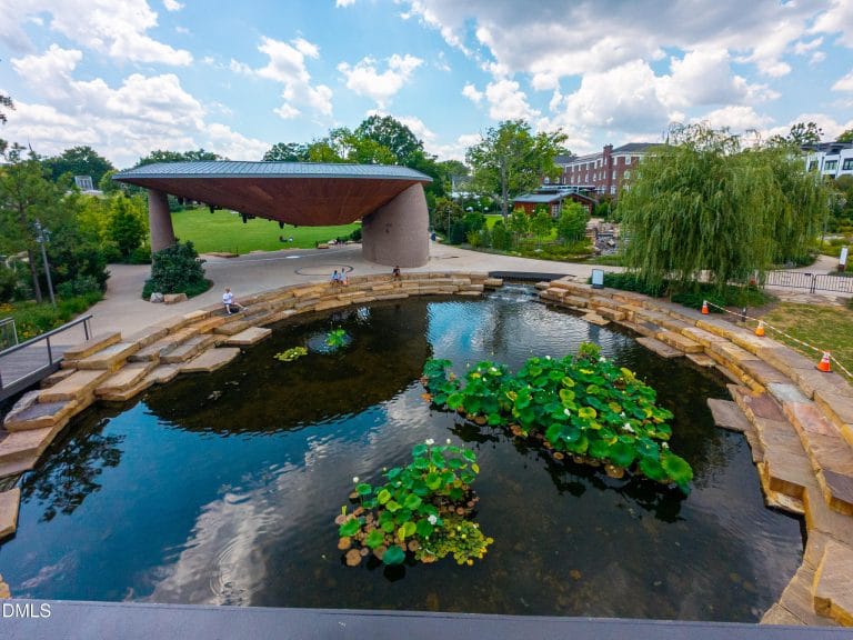 Downtown Cary 06-22-6